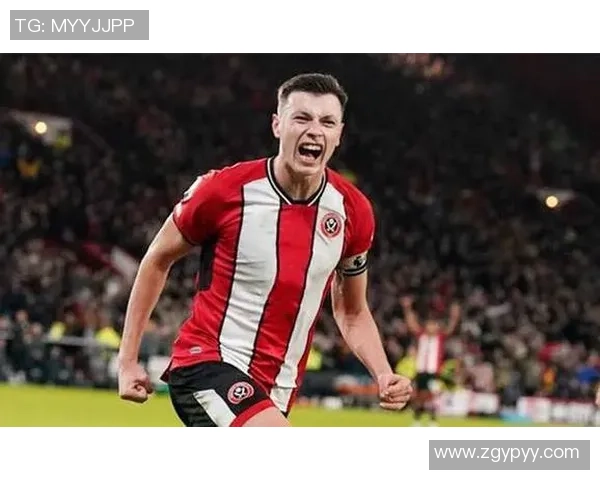 谢菲尔德联与莱切斯特在线直播对决精彩回顾与分析