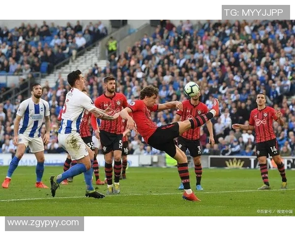 足总杯第5轮精彩对决布莱顿迎战德比郡争夺晋级资格